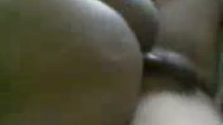 Bayan