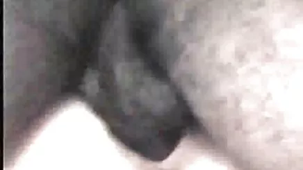 Koca