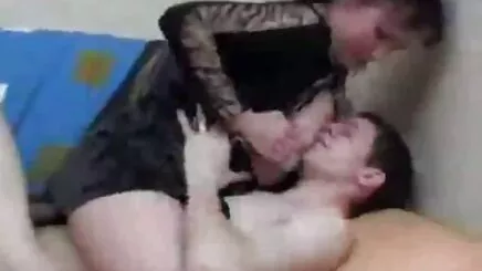 Kedi