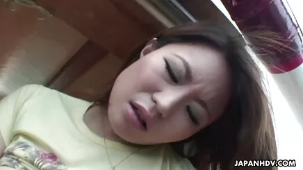 VN